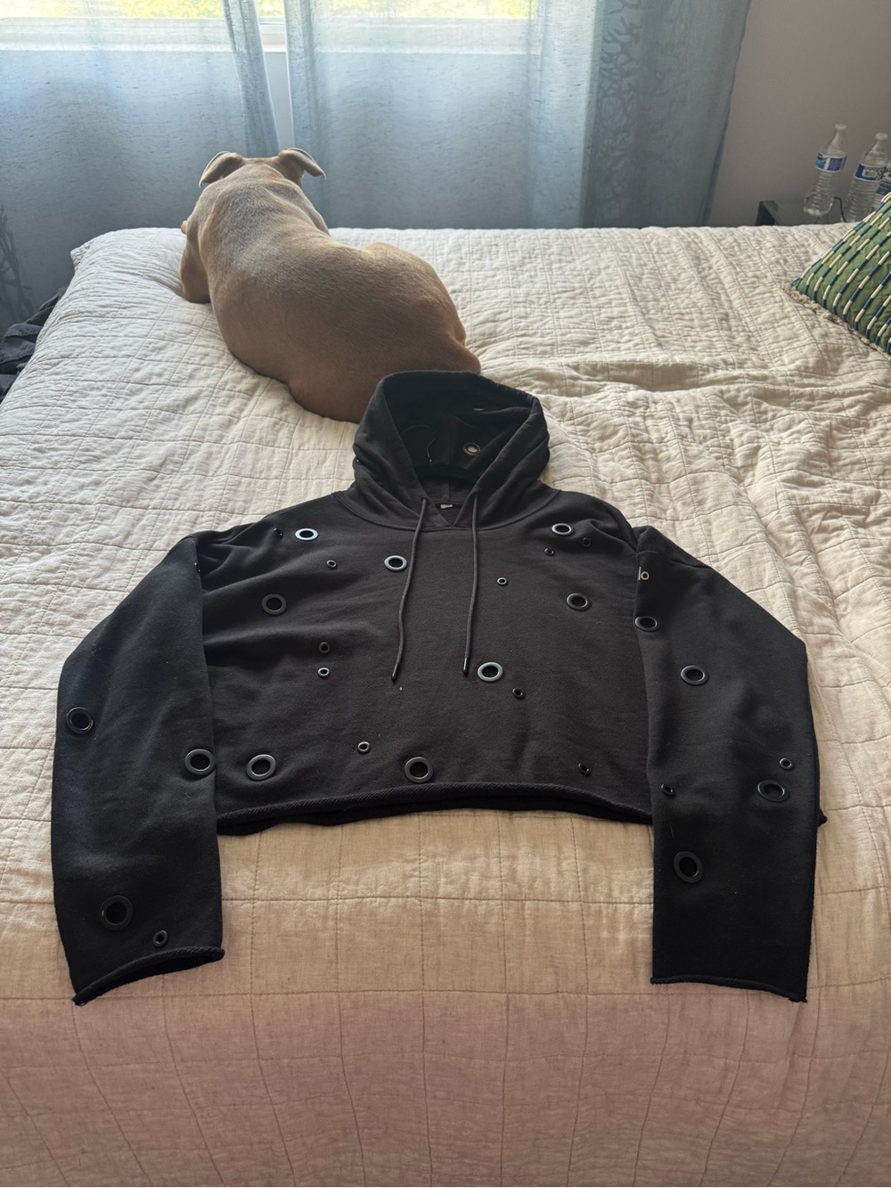 ALO Yoga Black Cropped Hoodie with Grommet Detail